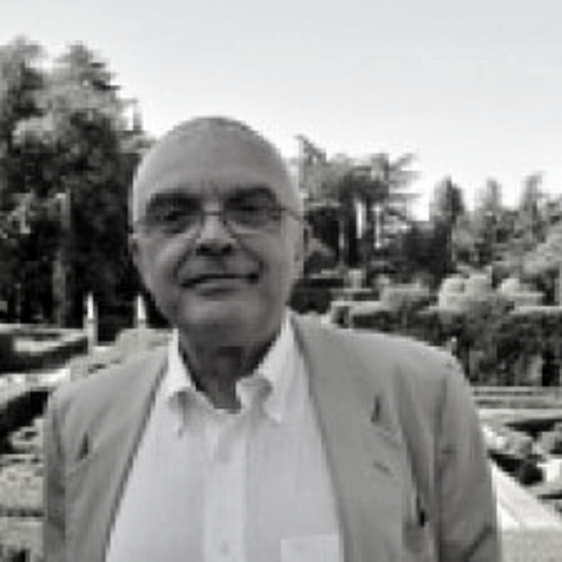Picture of Anthony Molho